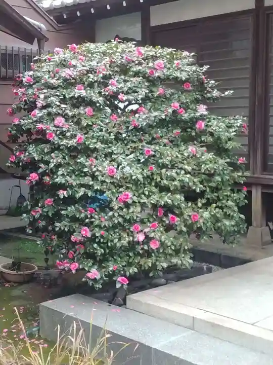 長福寺(東京都)