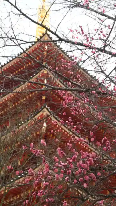 高幡不動尊 金剛寺(東京都)