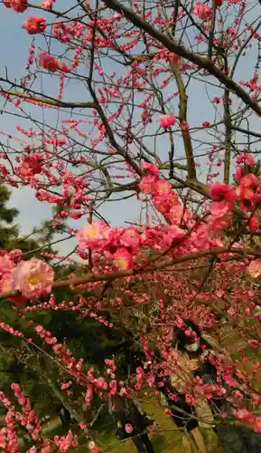 白雲神社の自然