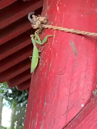 胸形神社(栃木県)