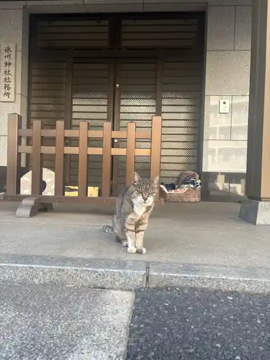 白金氷川神社の{uncategorized: "未分類", other: "その他", undefined: "問題あり", building: "その他建物", grave: "お墓", sacred_gate: "鳥居", guardian: "狛犬", statue: "像", buddha: "仏像", history: "歴史", nature: "自然", garden: "庭園", animal: "動物", pagoda: "塔", temizu: "手水舎", mountain_gate: "山門・神門", sanctuary: "本殿・本堂", subordinate: "末社・摂社", art: "芸術", scenery: "景色", jizo: "地蔵", ema: "絵馬", goshuin: "御朱印", omikuji: "おみくじ", items: "授与品その他", amulet: "お守り", goshuincho: "御朱印帳", eats: "食事", festival: "お祭り", votive_dance: "神楽", shichigosan: "七五三参", wedding: "結婚式", experience: "体験その他", initially: "初詣", around: "周辺", anti_infection: "感染症対策"}