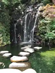 玉簾神社の自然