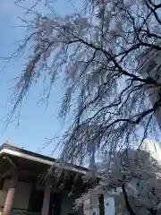 常圓寺の本殿