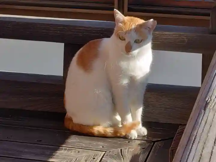 慶運寺(神奈川県)