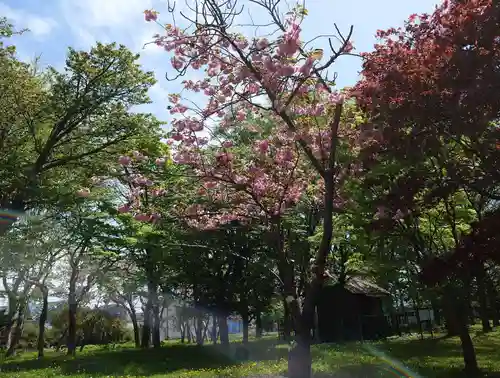 中嶋神社の自然