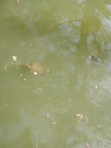 備中国總社(岡山県)