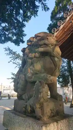 金神社（西町）の狛犬