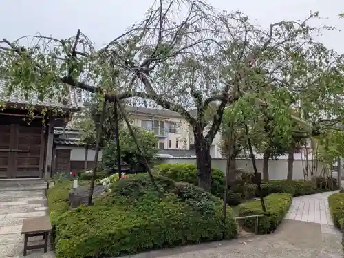 西蓮寺(東京都)