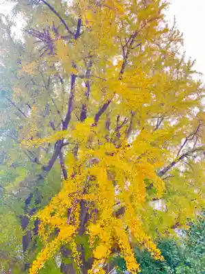 三栖神社(京都府)