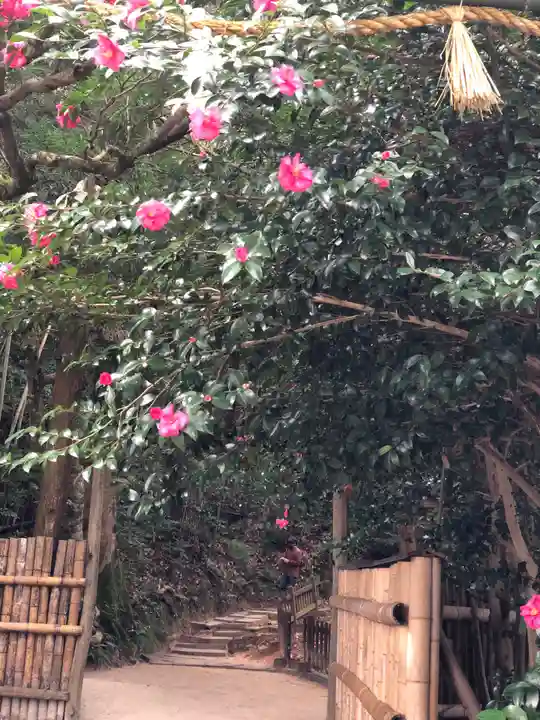 八重垣神社の周辺