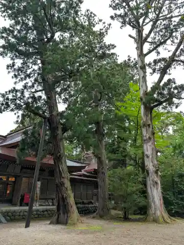 越中一宮 髙瀬神社の{uncategorized: "未分類", other: "その他", undefined: "問題あり", building: "その他建物", grave: "お墓", sacred_gate: "鳥居", guardian: "狛犬", statue: "像", buddha: "仏像", history: "歴史", nature: "自然", garden: "庭園", animal: "動物", pagoda: "塔", temizu: "手水舎", mountain_gate: "山門・神門", sanctuary: "本殿・本堂", subordinate: "末社・摂社", art: "芸術", scenery: "景色", jizo: "地蔵", ema: "絵馬", goshuin: "御朱印", omikuji: "おみくじ", items: "授与品その他", amulet: "お守り", goshuincho: "御朱印帳", eats: "食事", festival: "お祭り", votive_dance: "神楽", shichigosan: "七五三参", wedding: "結婚式", experience: "体験その他", initially: "初詣", around: "周辺", anti_infection: "感染症対策"}