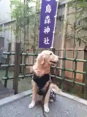 烏森神社の動物