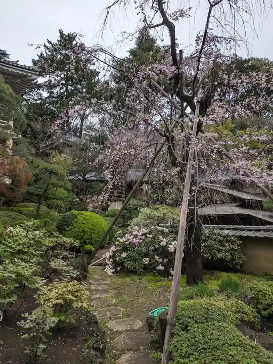 東長谷寺 薬王院(東京都)
