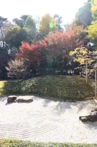 淨眞寺(東京都)