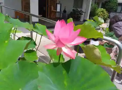 大久寺(神奈川県)