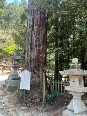 宇太水分神社（中社）の{uncategorized: "未分類", other: "その他", undefined: "問題あり", building: "その他建物", grave: "お墓", sacred_gate: "鳥居", guardian: "狛犬", statue: "像", buddha: "仏像", history: "歴史", nature: "自然", garden: "庭園", animal: "動物", pagoda: "塔", temizu: "手水舎", mountain_gate: "山門・神門", sanctuary: "本殿・本堂", subordinate: "末社・摂社", art: "芸術", scenery: "景色", jizo: "地蔵", ema: "絵馬", goshuin: "御朱印", omikuji: "おみくじ", items: "授与品その他", amulet: "お守り", goshuincho: "御朱印帳", eats: "食事", festival: "お祭り", votive_dance: "神楽", shichigosan: "七五三参", wedding: "結婚式", experience: "体験その他", initially: "初詣", around: "周辺", anti_infection: "感染症対策"}