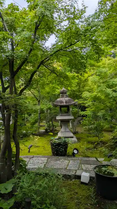 勝林寺(京都府)