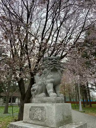 十勝護国神社の狛犬