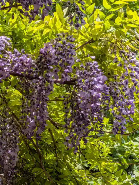 藤神稲荷神社(東京都)