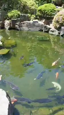 誕生寺(千葉県)