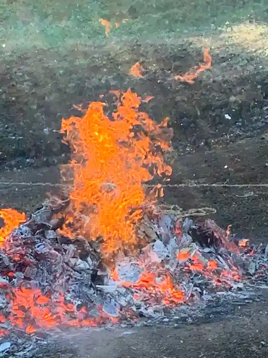 淨光院のお祭り
