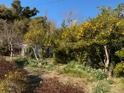 妙蓮寺のその他建物