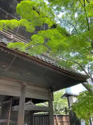 泉岳寺(東京都)