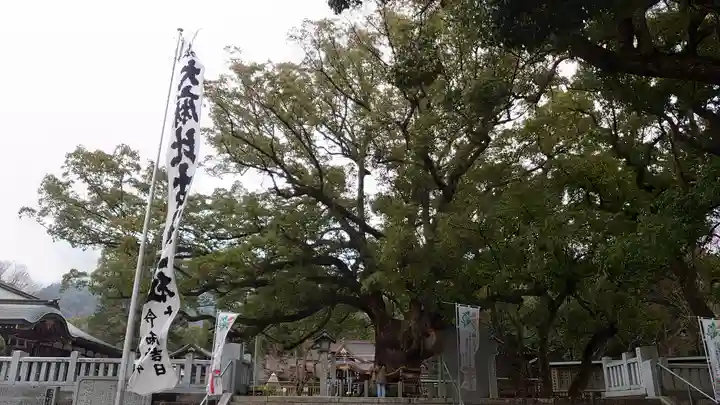 大麻比古神社(徳島県)