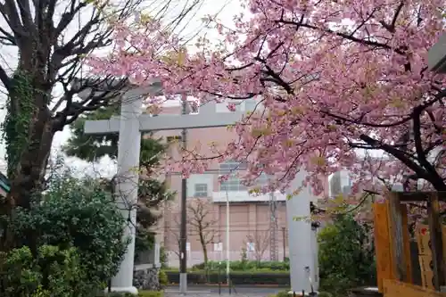 新宿下落合氷川神社の鳥居