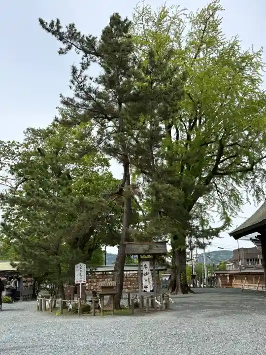 阿蘇神社の{uncategorized: "未分類", other: "その他", undefined: "問題あり", building: "その他建物", grave: "お墓", sacred_gate: "鳥居", guardian: "狛犬", statue: "像", buddha: "仏像", history: "歴史", nature: "自然", garden: "庭園", animal: "動物", pagoda: "塔", temizu: "手水舎", mountain_gate: "山門・神門", sanctuary: "本殿・本堂", subordinate: "末社・摂社", art: "芸術", scenery: "景色", jizo: "地蔵", ema: "絵馬", goshuin: "御朱印", omikuji: "おみくじ", items: "授与品その他", amulet: "お守り", goshuincho: "御朱印帳", eats: "食事", festival: "お祭り", votive_dance: "神楽", shichigosan: "七五三参", wedding: "結婚式", experience: "体験その他", initially: "初詣", around: "周辺", anti_infection: "感染症対策"}