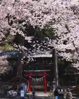 小幡八幡宮(群馬県)