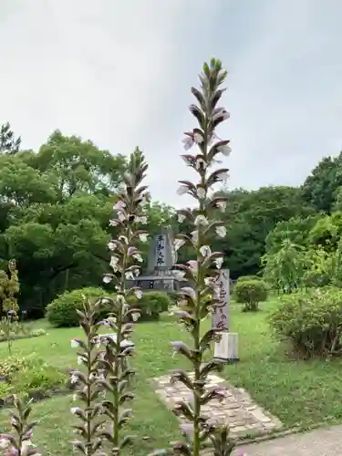 常楽寺の庭園