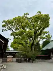 和泉國一之宮　大鳥大社(大阪府)