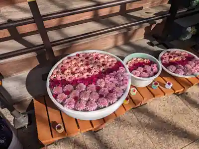 法輪寺(東京都)