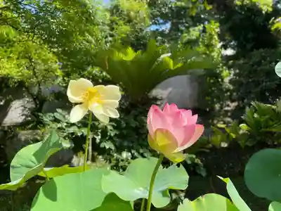 伊勢の国 四天王寺(三重県)