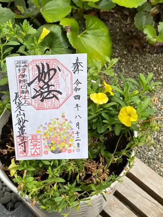 妙蓮寺の御朱印