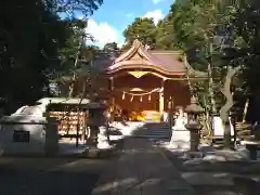 小金井神社の本殿