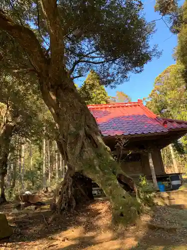 山神社の自然