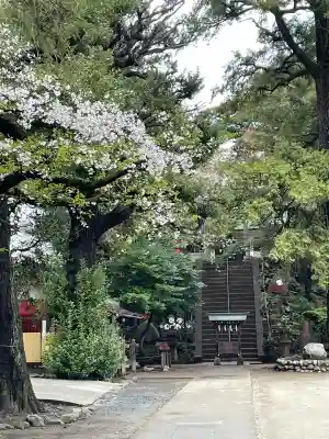 駒込富士神社(東京都)
