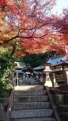 小槻神社のその他建物