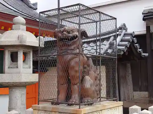 八坂神社(祇園さん)の狛犬