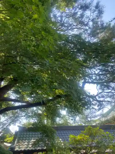 村松虚空蔵堂（日高寺）(茨城県)