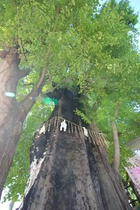 飛木稲荷神社(東京都)
