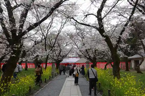 平野神社(京都府)
