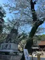 手力雄神社の{uncategorized: "未分類", other: "その他", undefined: "問題あり", building: "その他建物", grave: "お墓", sacred_gate: "鳥居", guardian: "狛犬", statue: "像", buddha: "仏像", history: "歴史", nature: "自然", garden: "庭園", animal: "動物", pagoda: "塔", temizu: "手水舎", mountain_gate: "山門・神門", sanctuary: "本殿・本堂", subordinate: "末社・摂社", art: "芸術", scenery: "景色", jizo: "地蔵", ema: "絵馬", goshuin: "御朱印", omikuji: "おみくじ", items: "授与品その他", amulet: "お守り", goshuincho: "御朱印帳", eats: "食事", festival: "お祭り", votive_dance: "神楽", shichigosan: "七五三参", wedding: "結婚式", experience: "体験その他", initially: "初詣", around: "周辺", anti_infection: "感染症対策"}