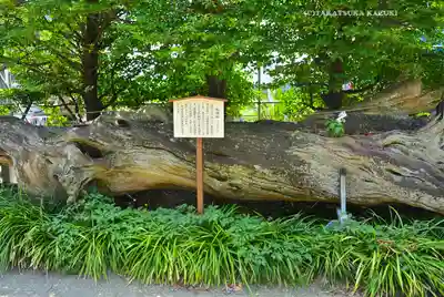 瀬戸神社(神奈川県)