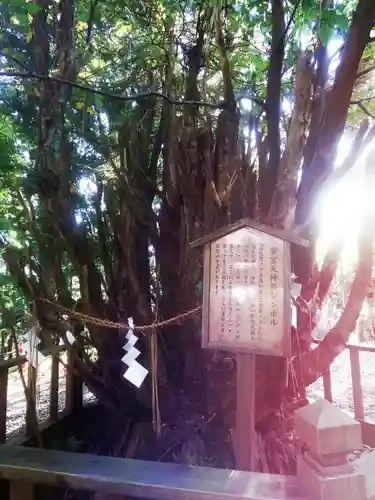 幣立神宮の自然