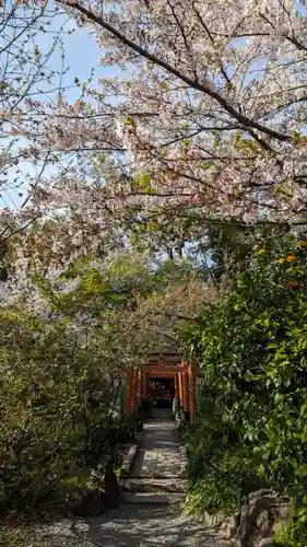 平野神社(京都府)