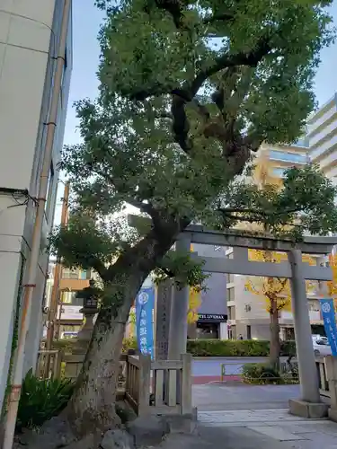 須賀神社の自然