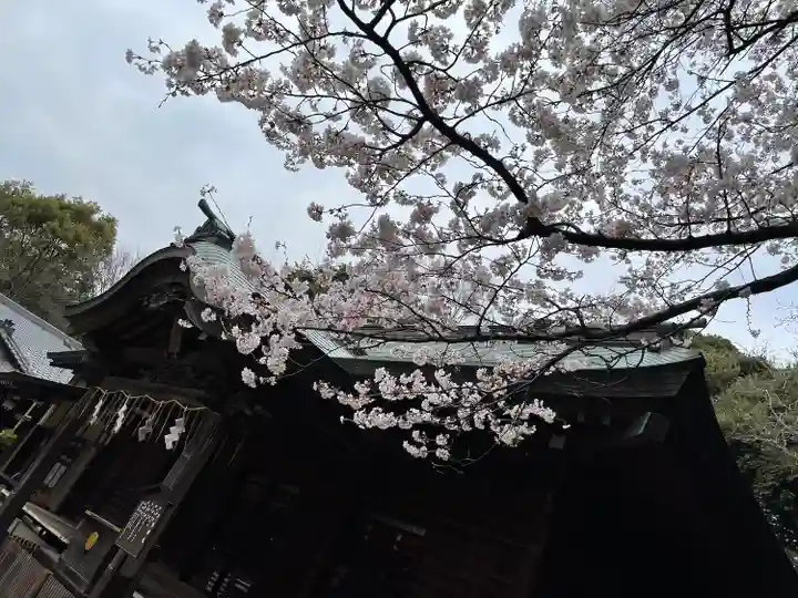 畑子安神社(千葉県)